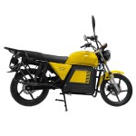 Factory direct sales of electric vehicles: Pioneer No.1 lead-acid Battery/lithium battery electric vehicles